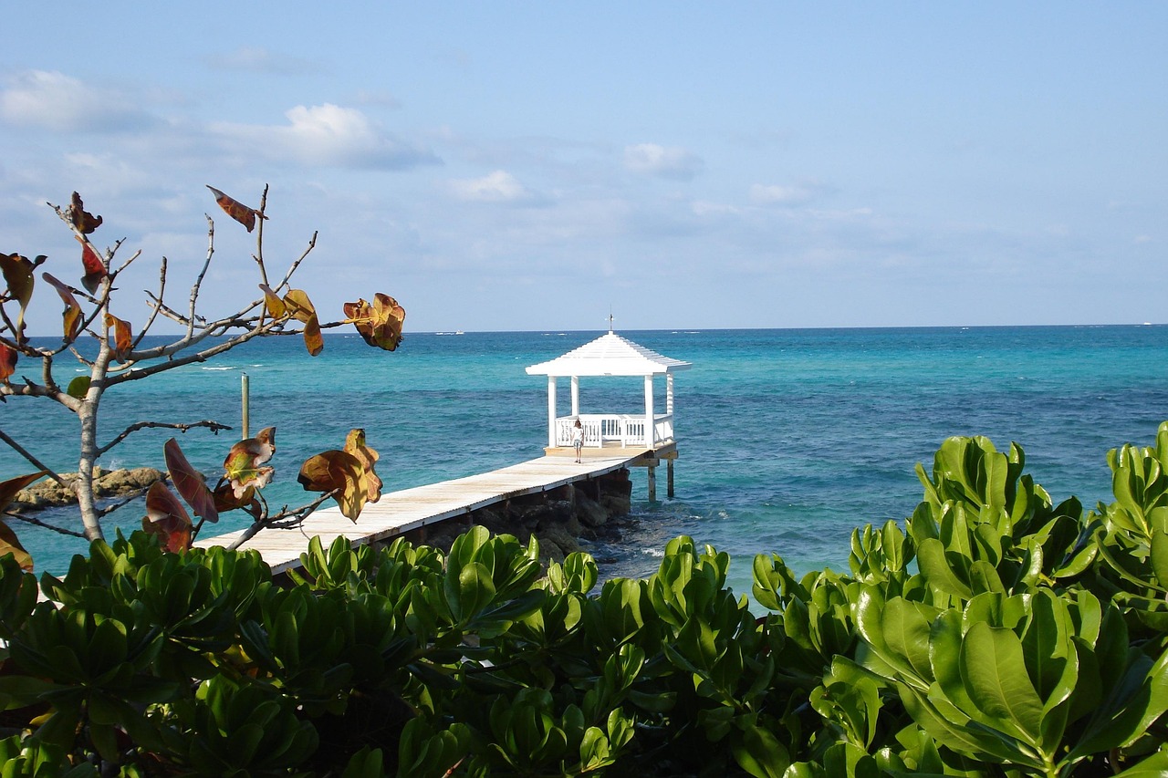 Condo Sand Port View Image